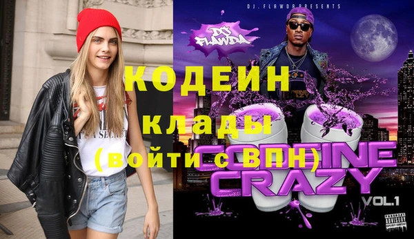 ГАЛЛЮЦИНОГЕННЫЕ ГРИБЫ Инсар