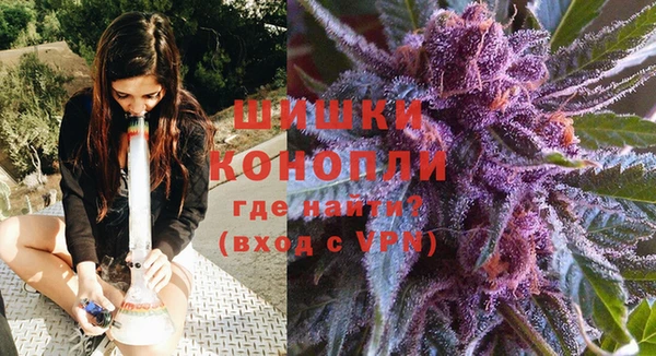 ПСИЛОЦИБИНОВЫЕ ГРИБЫ Инта