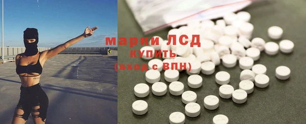 ПСИЛОЦИБИНОВЫЕ ГРИБЫ Инта