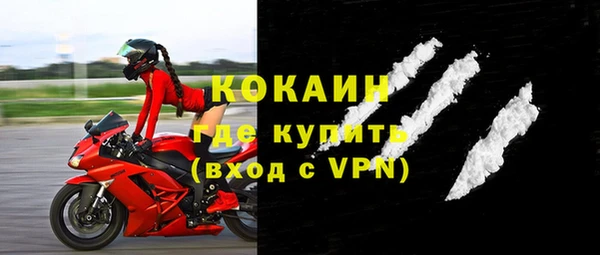 ПСИЛОЦИБИНОВЫЕ ГРИБЫ Инта