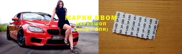 ГАЛЛЮЦИНОГЕННЫЕ ГРИБЫ Инсар