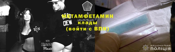 ГАЛЛЮЦИНОГЕННЫЕ ГРИБЫ Инсар
