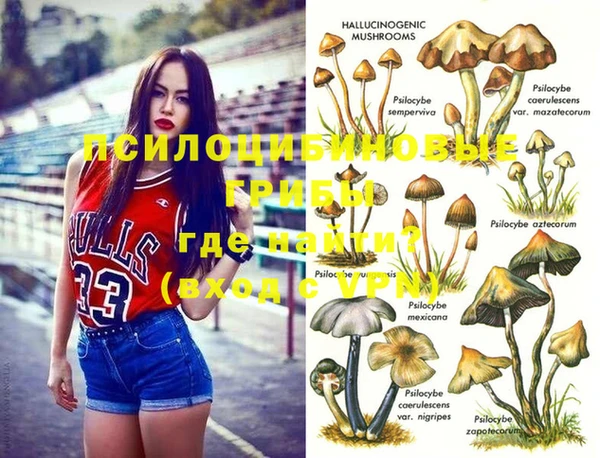 бутират Иннополис