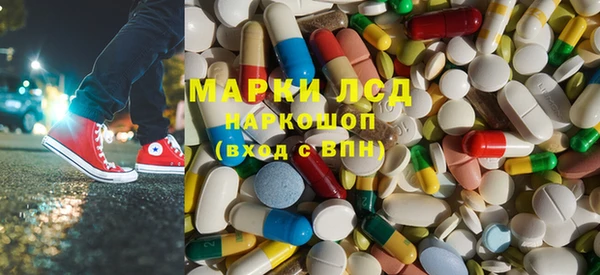 ГАЛЛЮЦИНОГЕННЫЕ ГРИБЫ Инсар
