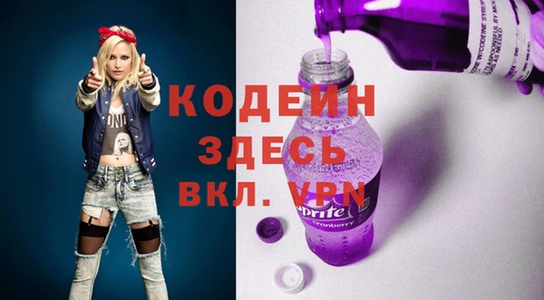 ГАЛЛЮЦИНОГЕННЫЕ ГРИБЫ Инсар