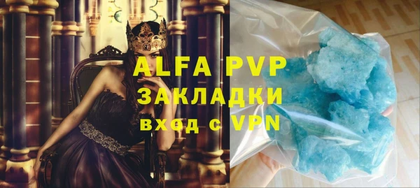 ГАЛЛЮЦИНОГЕННЫЕ ГРИБЫ Инсар