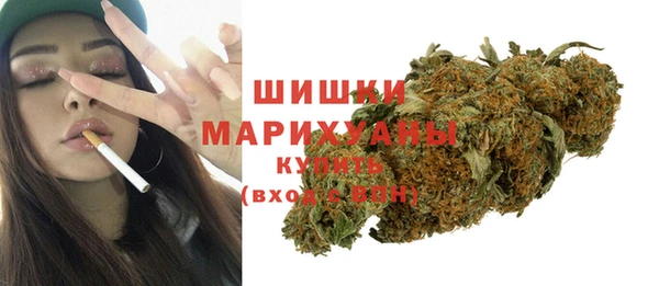 ПСИЛОЦИБИНОВЫЕ ГРИБЫ Инта