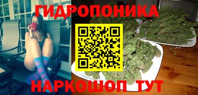 прущие грибы Камышлов