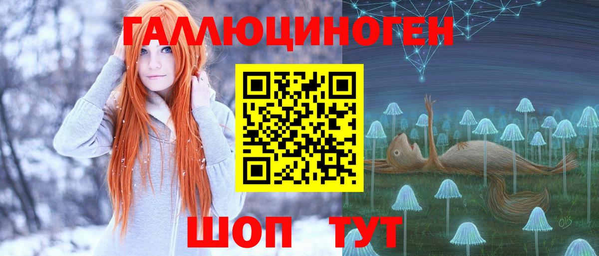 Галлюциногенные грибы Psilocybe Славгород