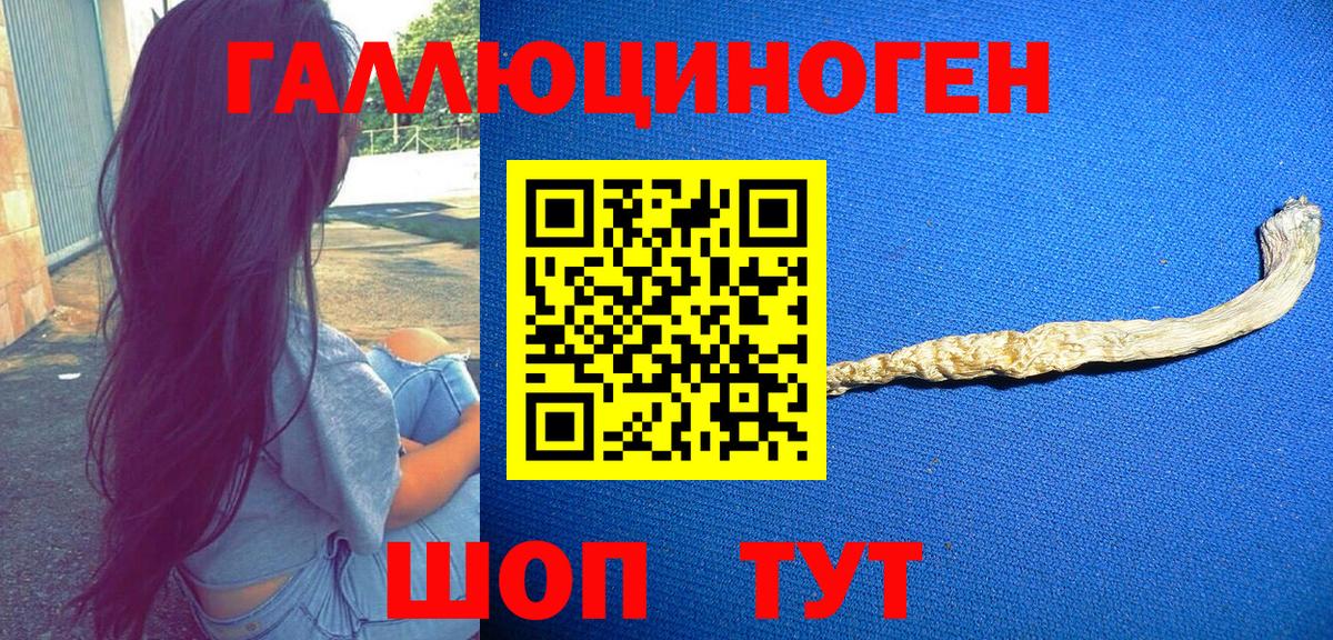 NBOMe  Славгород  Где найти наркотики?  Альфа ПВП СОЛЬ   ЭКСТАЗИ  АМФЕТАМИН кристаллы  Меф   Мефедрон кристаллы  Конопля  Гашиш 