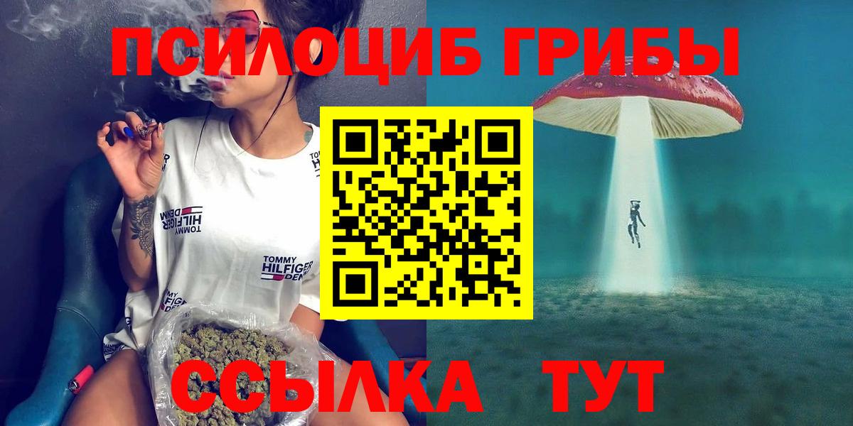 Галлюциногенные грибы MAGIC MUSHROOMS  Вход с VPN  Славгород 