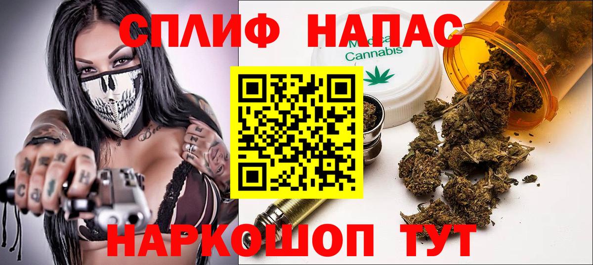 Марихуана планчик  Славгород  Марихуана конопля 